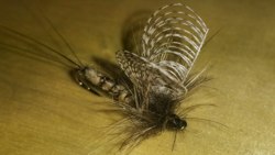 Ephemera Danica par Hans Baum