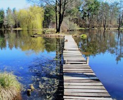 L'éphémère de Bourgogne